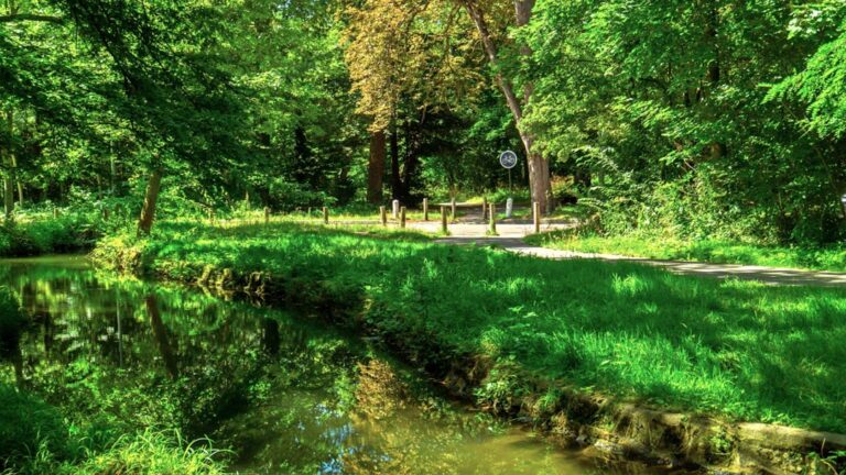A river in forest took in Paris in Bois De Boulogne